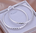 Silver Hour Hoops